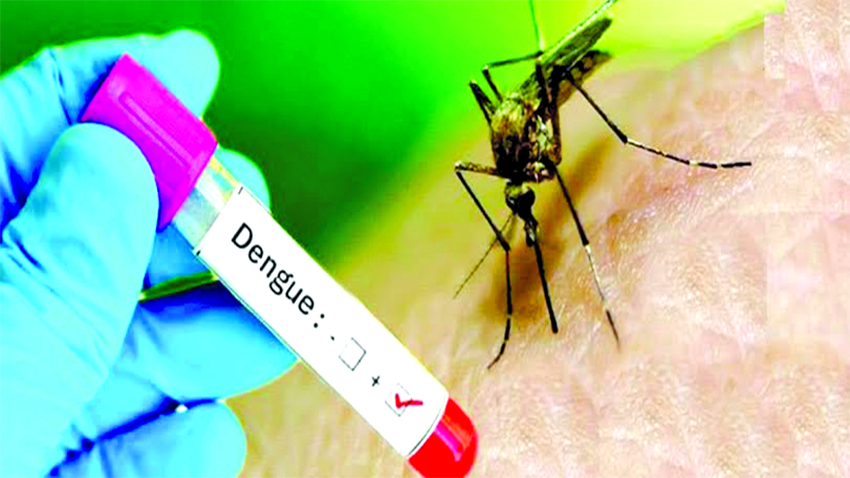 Govt rolls out three-month drive to curb dengue