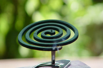After Nine Hearings, Another Attempt to Grant Environmental Clearance to Mosquito Coil Factory